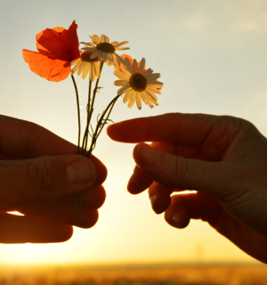 Γιατί Συγχωρούμε…