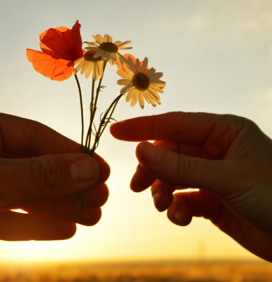 Γιατί Συγχωρούμε…